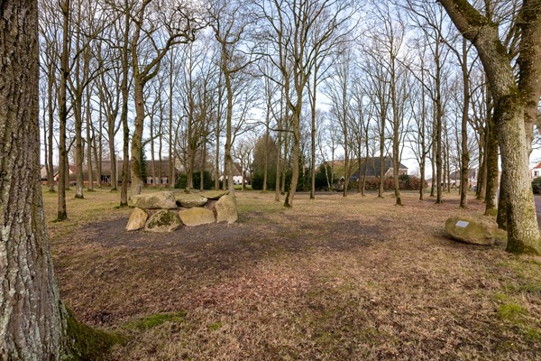 Medium property photo - Dorpsstraat 8, 9482 PC Tynaarlo